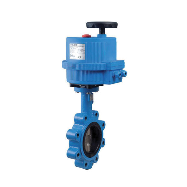 Bonomi North America EN501S-001-10