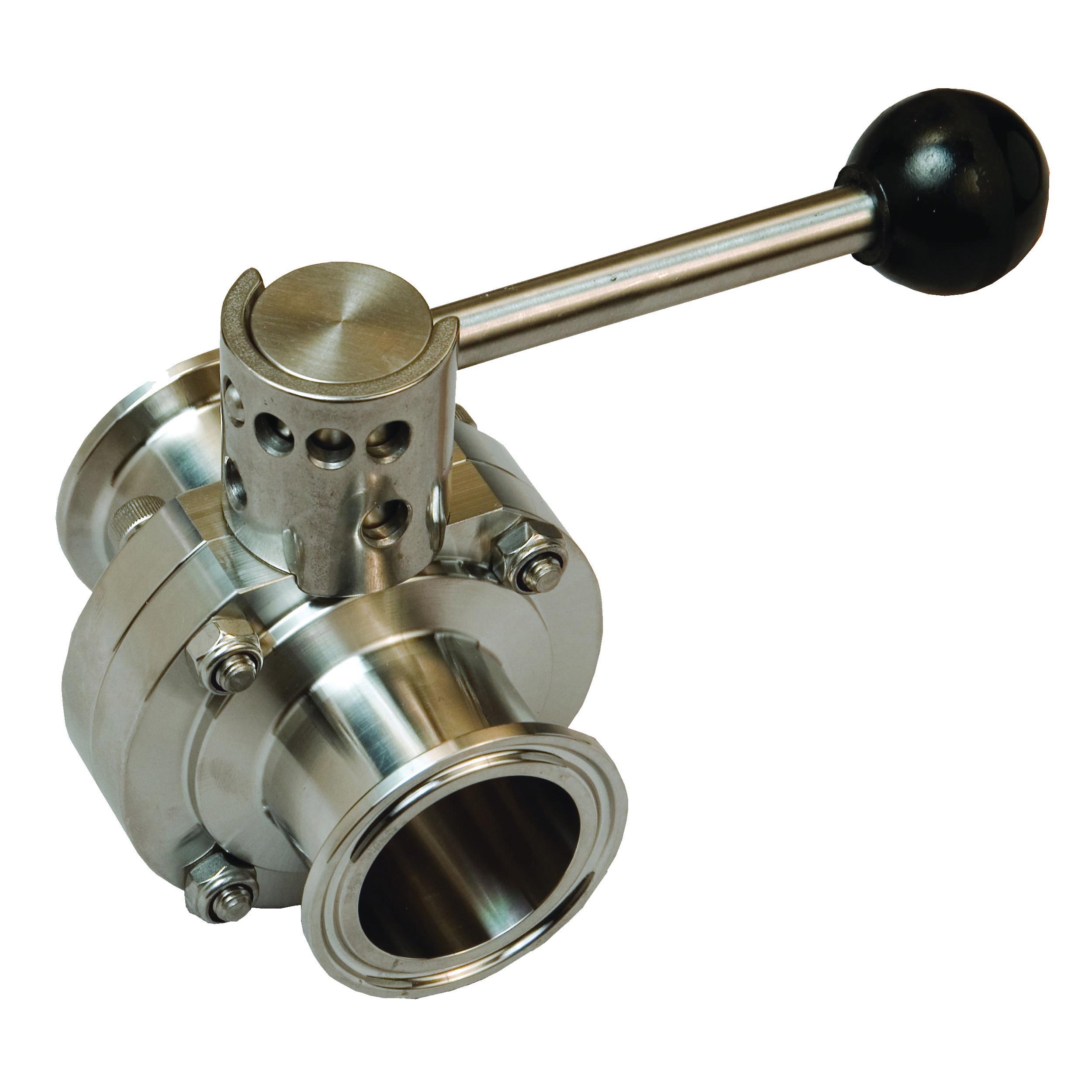 Dixon Sanitary Butterfly Valve