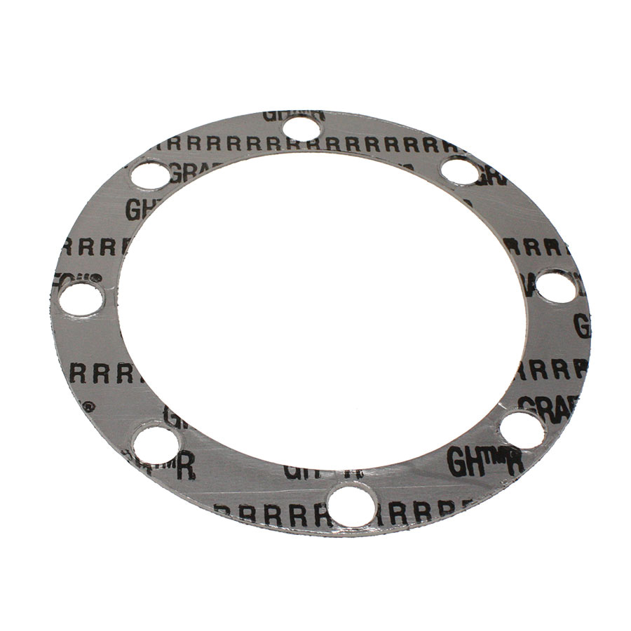 Spirax Sarco 66105 Cover Gasket