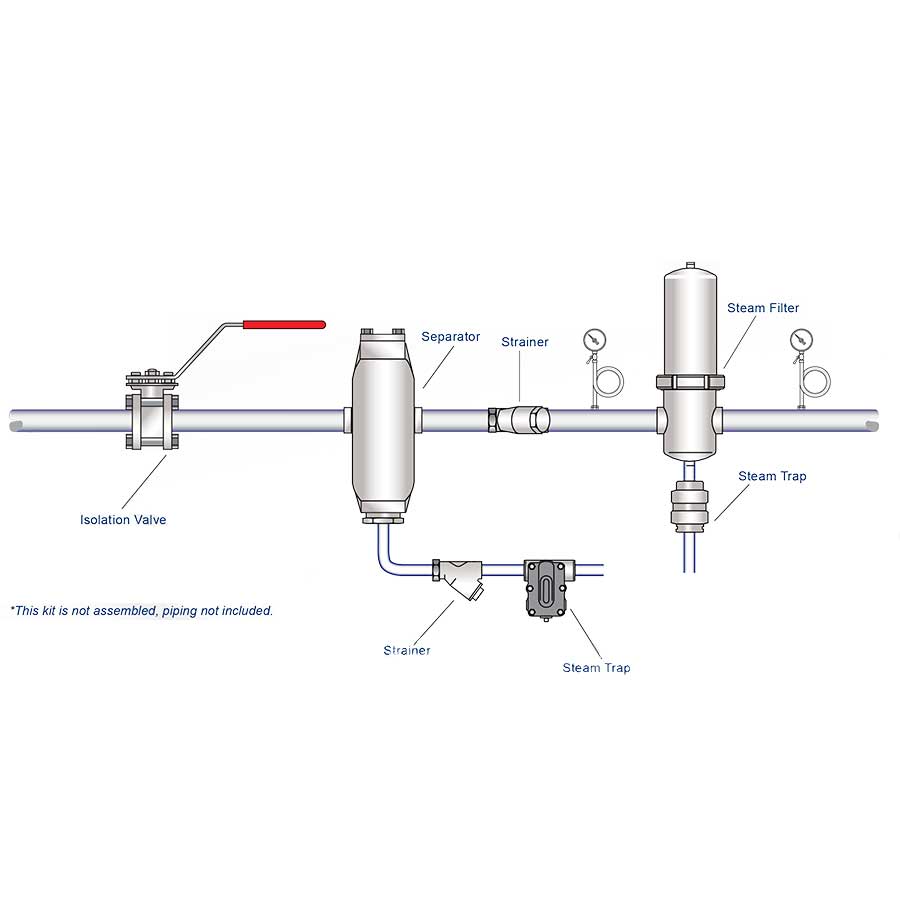 Spirax Sarco FS1 Steam Filter Station